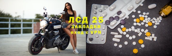 прущие грибы Горно-Алтайск