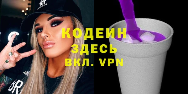 гашик Горняк