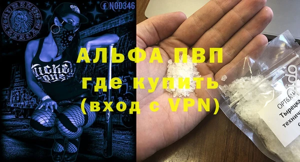 прущие грибы Горно-Алтайск