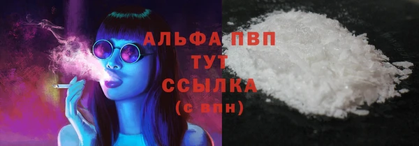гашик Горняк