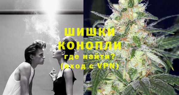 прущие грибы Горно-Алтайск