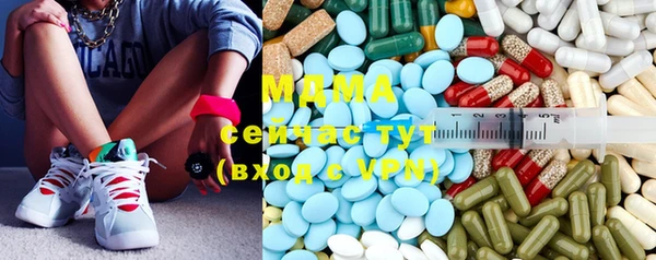 прущие грибы Горно-Алтайск