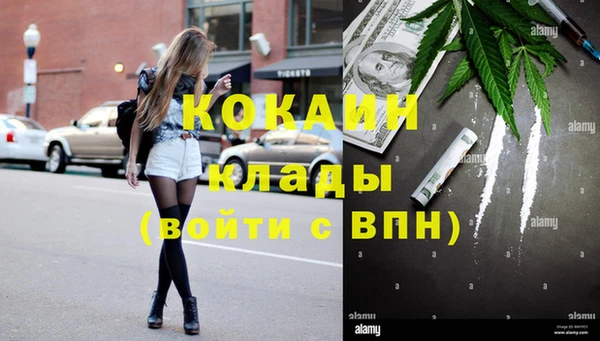 прущие грибы Горно-Алтайск