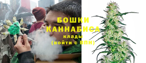гашик Горняк