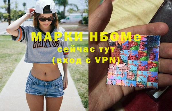 прущие грибы Горно-Алтайск