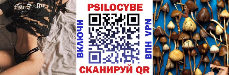 Галлюциногенные грибы Magic Shrooms  купить  цена  площадка телеграм  Гремячинск 